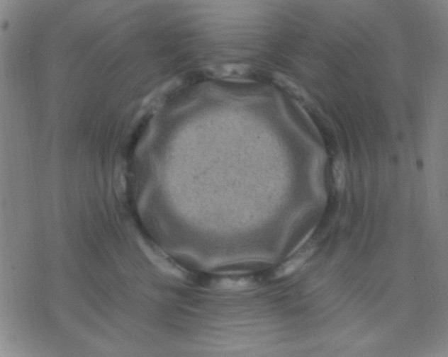 X0000075840570200610061850