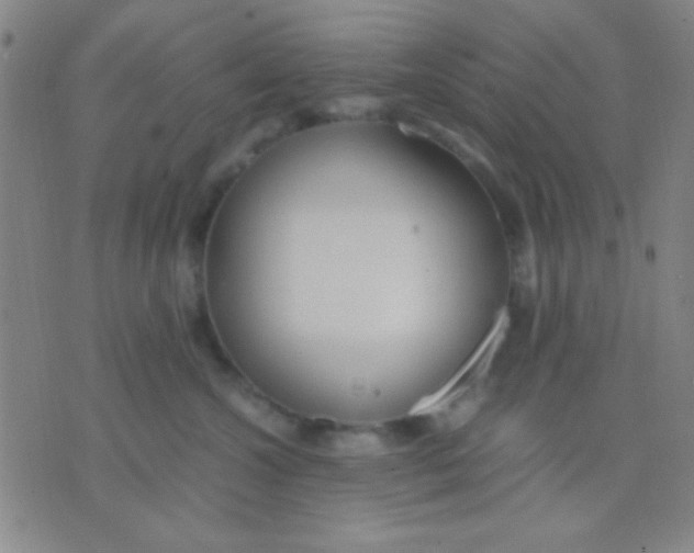 X0000075840572200610061850