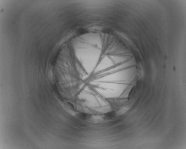 X0000075840573200610061850