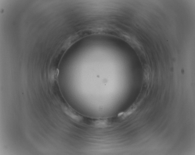 X0000075840574200610061850