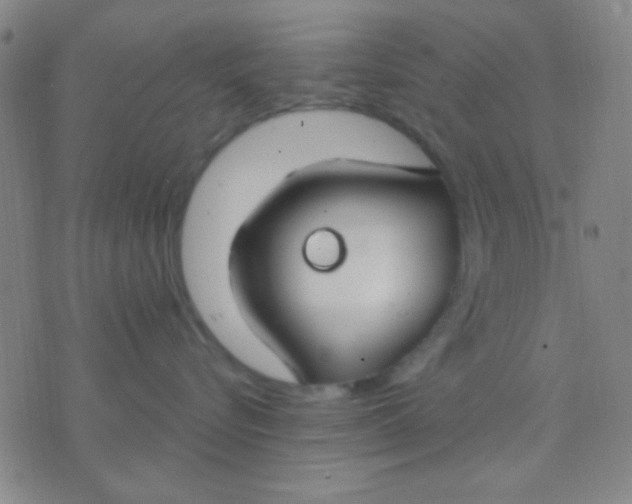 X0000075840576200610061850