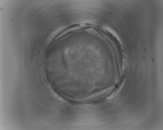 X0000075840577200610061849