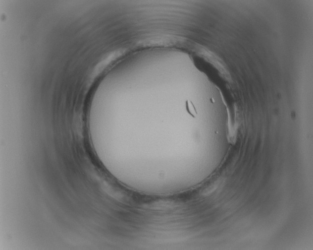 X0000075840578200610061849