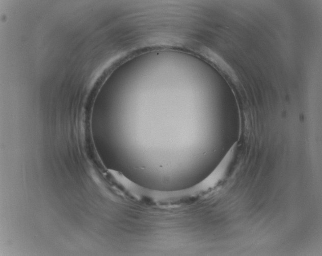 X0000075840580200610061849