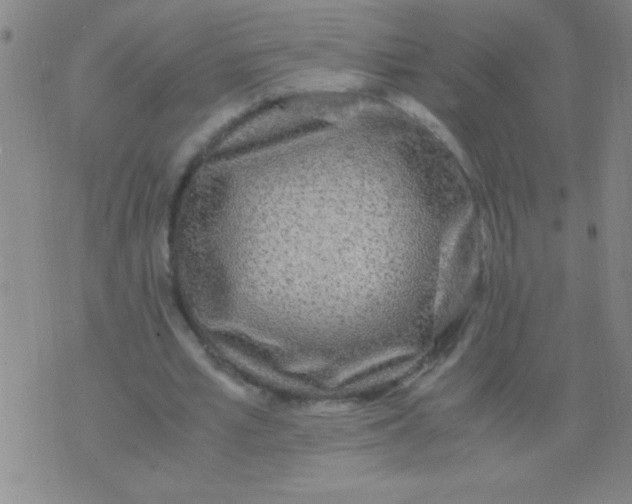 X0000075840581200610061849