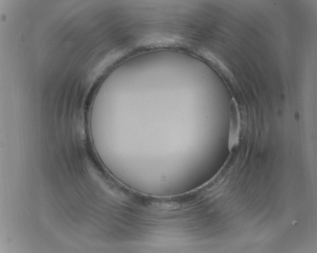 X0000075840582200610061849