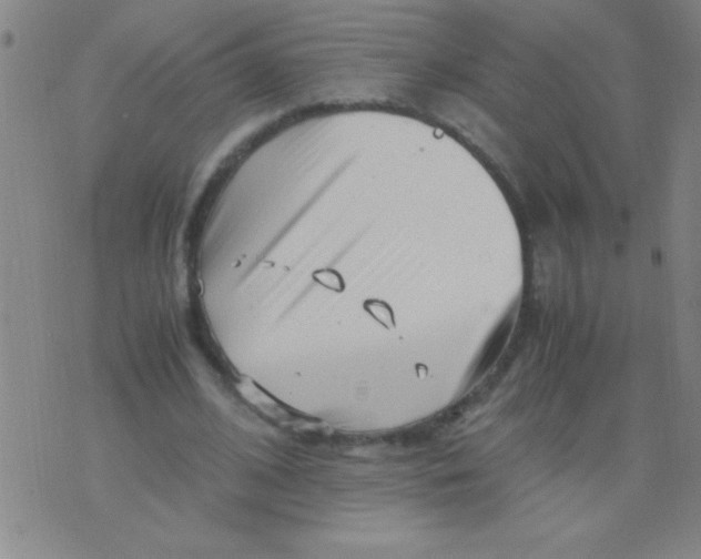 X0000075840584200610061849