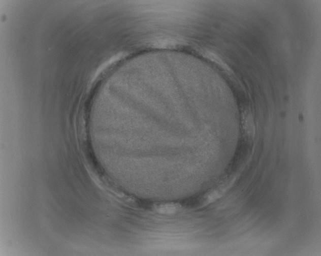 X0000075840587200610061849