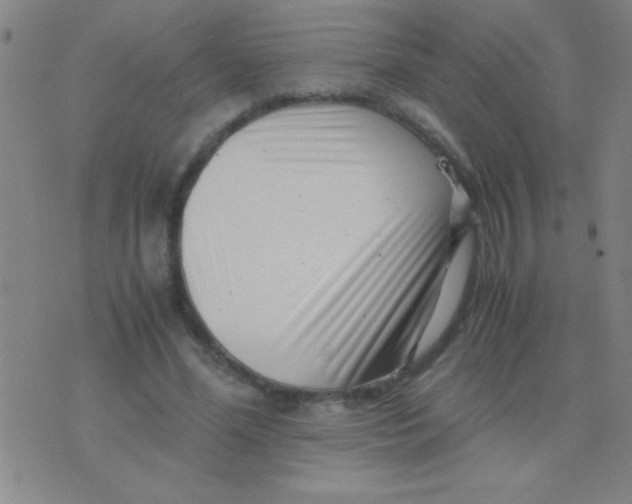 X0000075840588200610061849