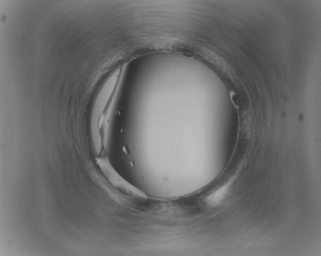 X0000075840589200610061849