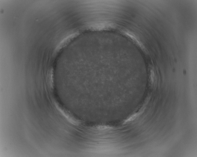 X0000075840590200610061849