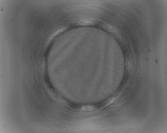 X0000075840591200610061849