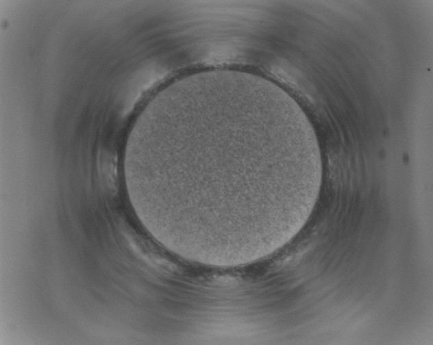 X0000075840592200610061849