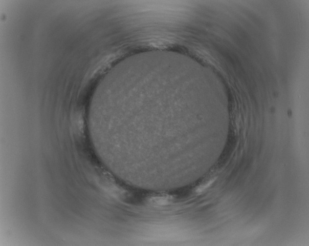 X0000075840595200610061849