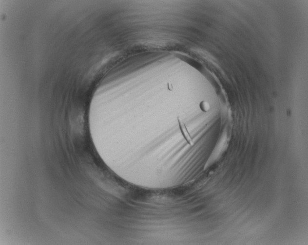 X0000075840596200610061849