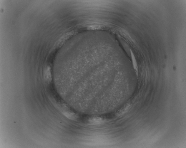 X0000075840598200610061849