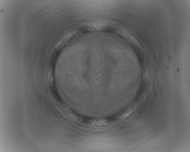 X0000075840599200610061849