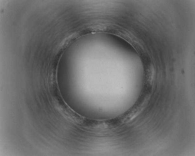 X0000075840600200610061849