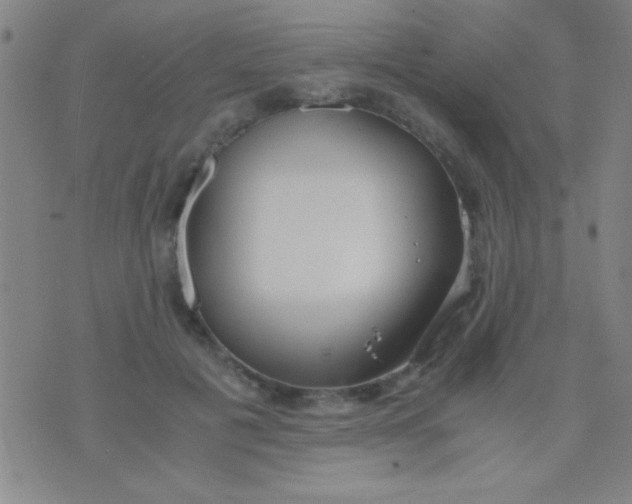 X0000075840601200610061849