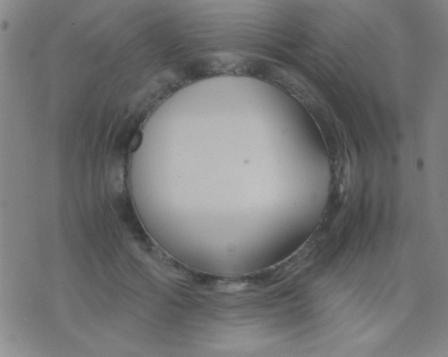 X0000075840602200610061849