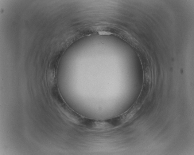 X0000075840605200610061849