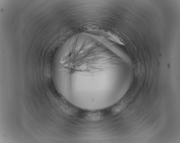 X0000075840606200610061849