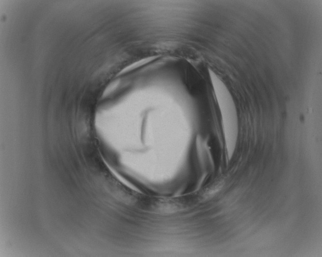 X0000075840608200610061849