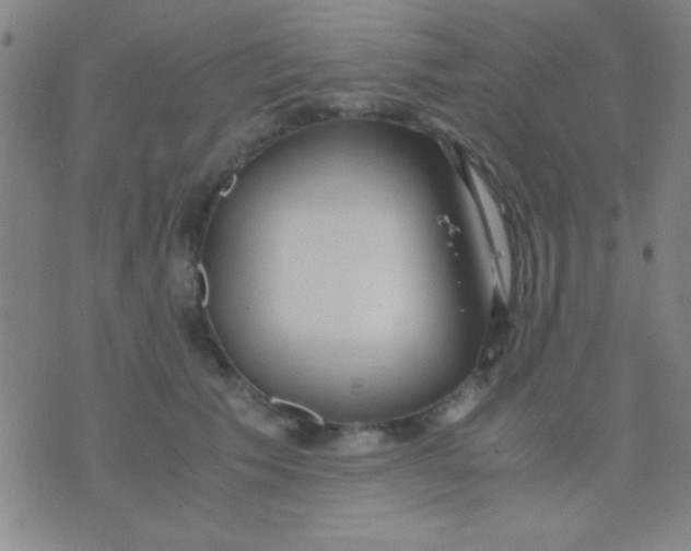 X0000075840609200610061849