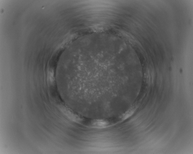 X0000075840610200610061849