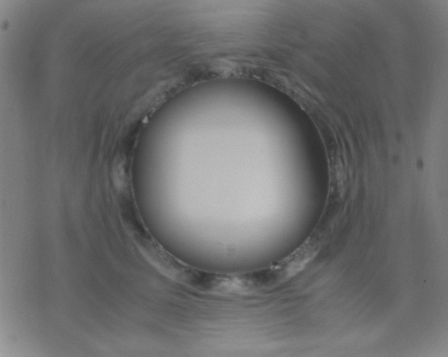 X0000075840611200610061849