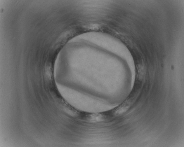 X0000075840612200610061849