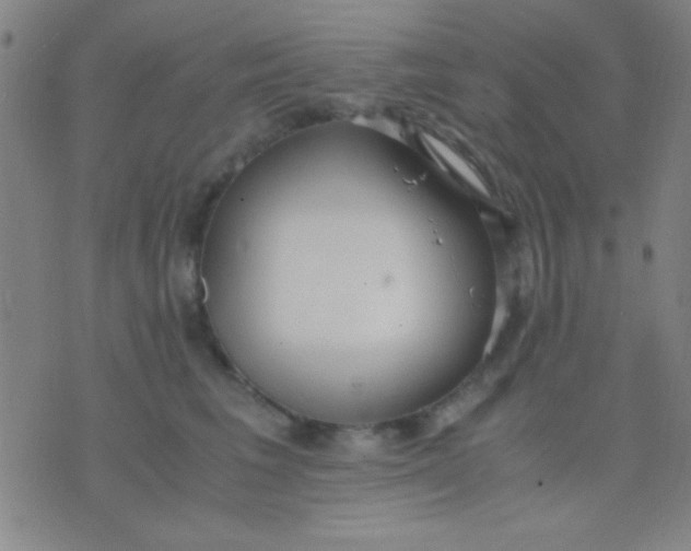 X0000075840613200610061849