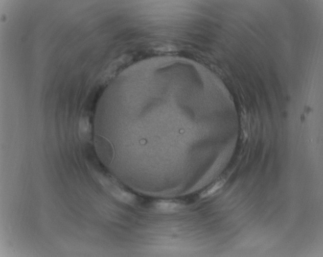 X0000075840614200610061849