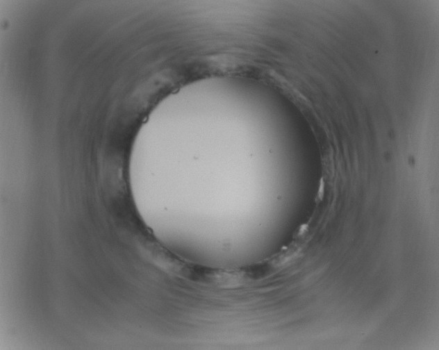 X0000075840615200610061849