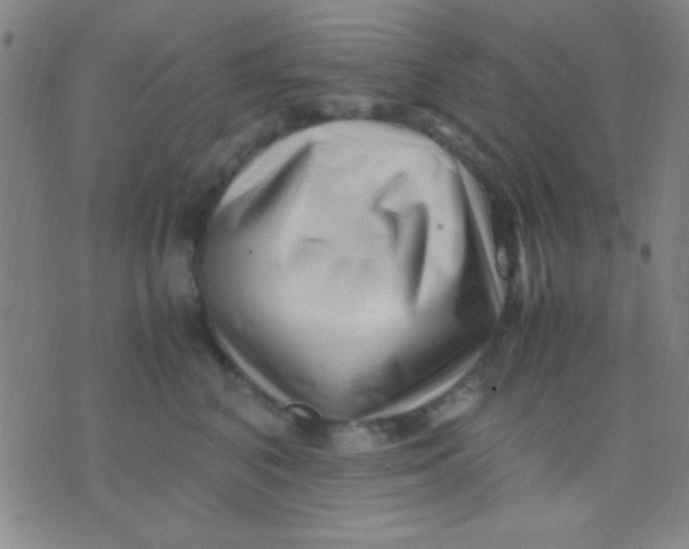 X0000075840616200610061849