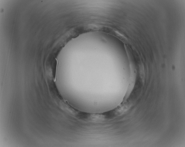 X0000075840617200610061849