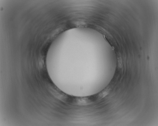 X0000075840618200610061849