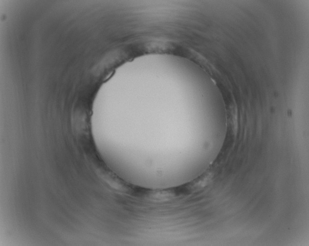 X0000075840619200610061849