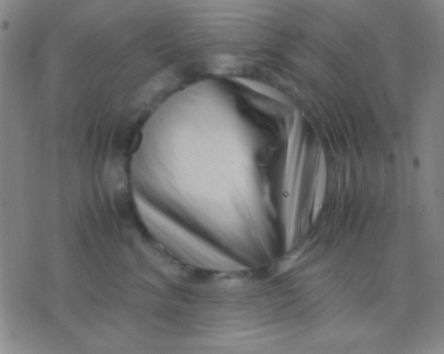 X0000075840620200610061849