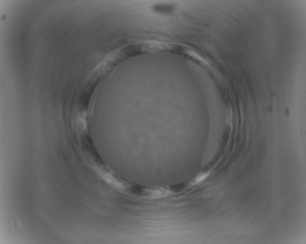 X0000075840621200610061849