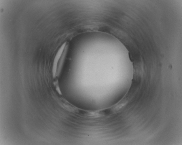 X0000075840623200610061848