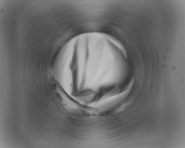 X0000075840624200610061848