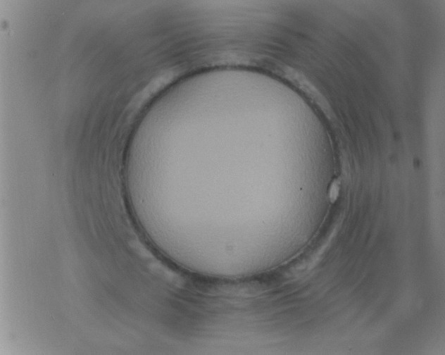 X0000075840625200610061848