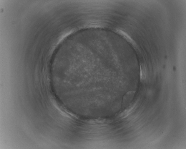 X0000075840627200610061848