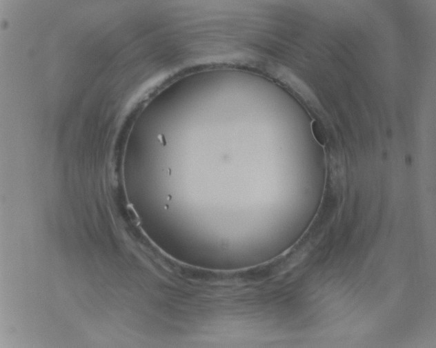 X0000075840628200610061848