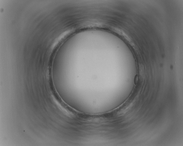 X0000075840629200610061848