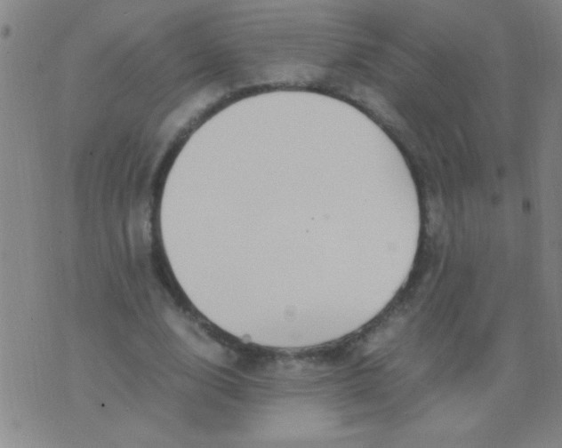 X0000075840632200610061848