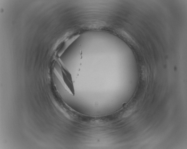 X0000075840634200610061848