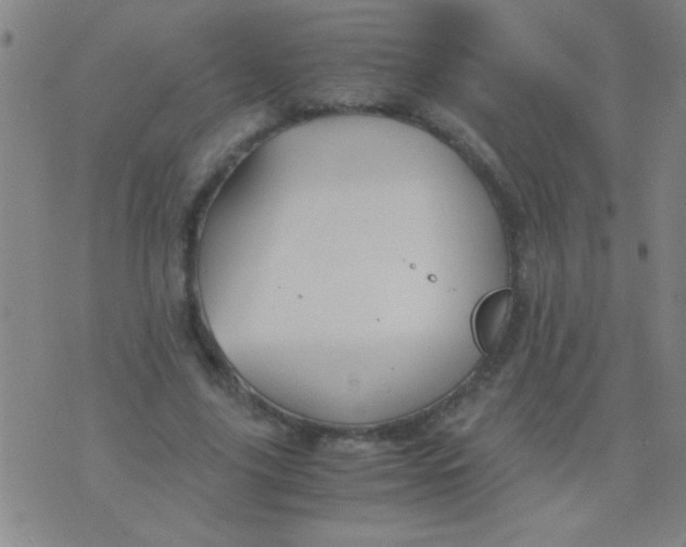 X0000075840635200610061848