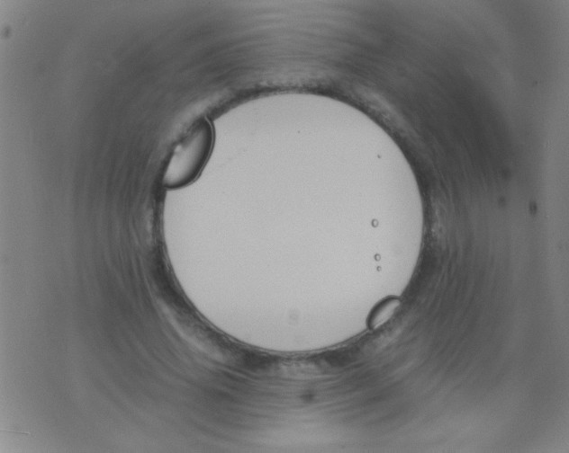 X0000075840636200610061848